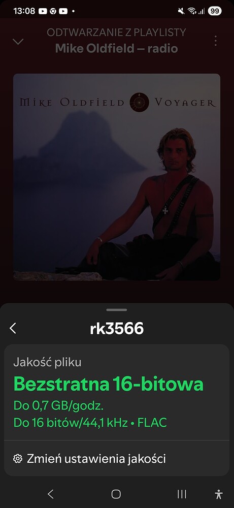Screenshot_20251213_130835_Spotify