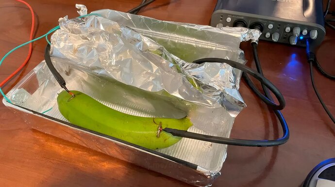 photo_2026-02-16 13.02.34