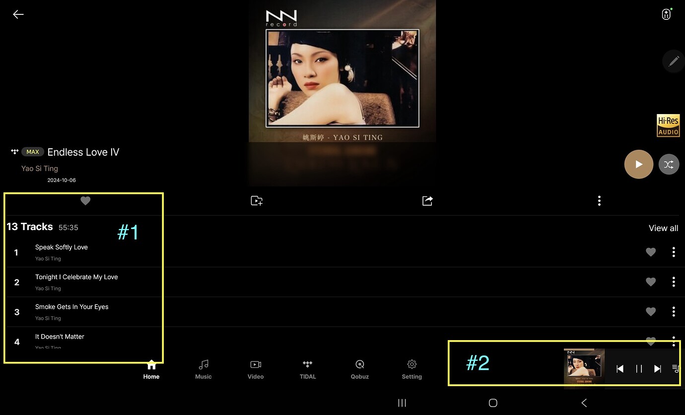 Screenshot_20250516_202459_Rose Hifi